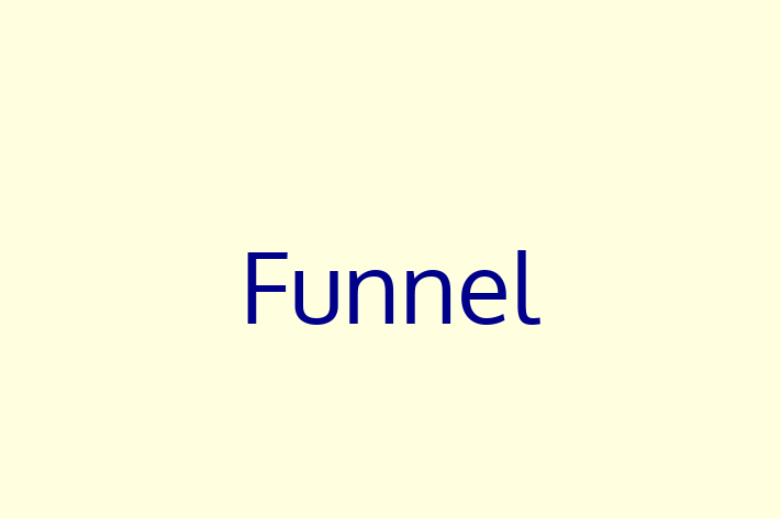 Software Services Company Funnel