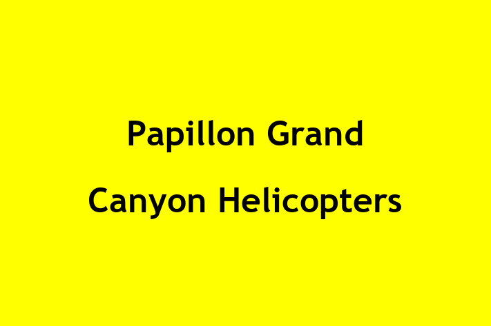 Workforce Management Papillon Grand Canyon Helicopters