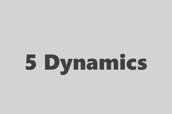 Software Engineering Company 5 Dynamics