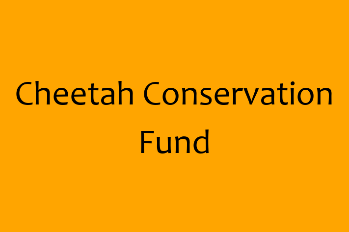 Software Consultancy Cheetah Conservation Fund