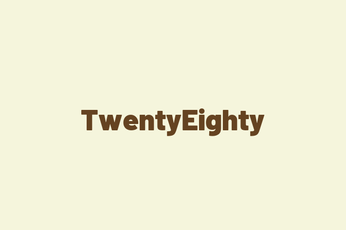 Technology Company TwentyEighty