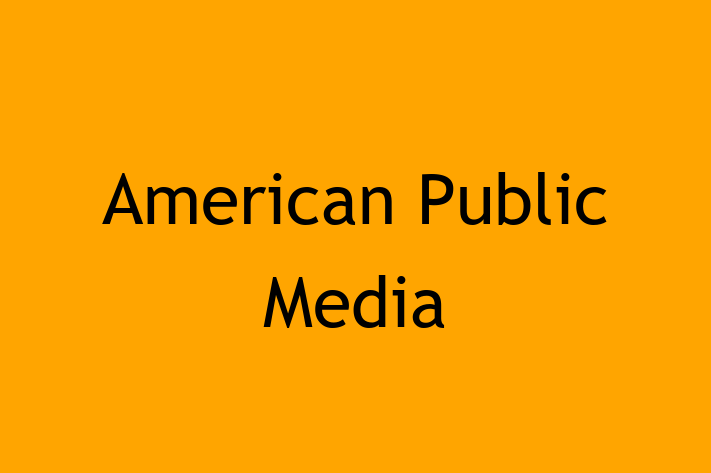 Technology Solutions Firm American Public Media