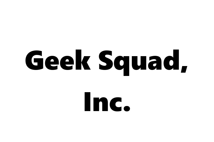 Application Development Company Geek Squad Inc.