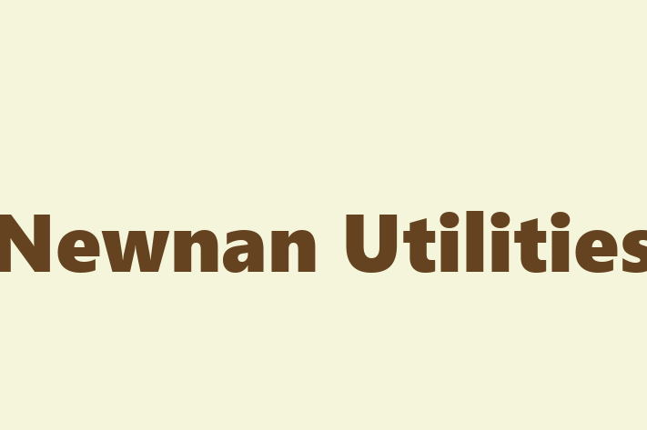 Technology Solutions Firm Newnan Utilities