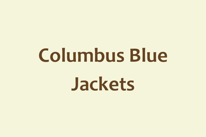 Talent Management Columbus Blue Jackets