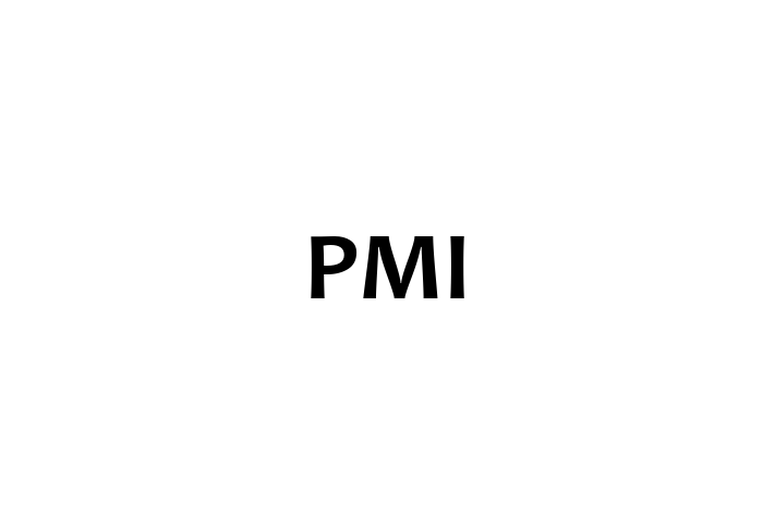 IT Company PMI