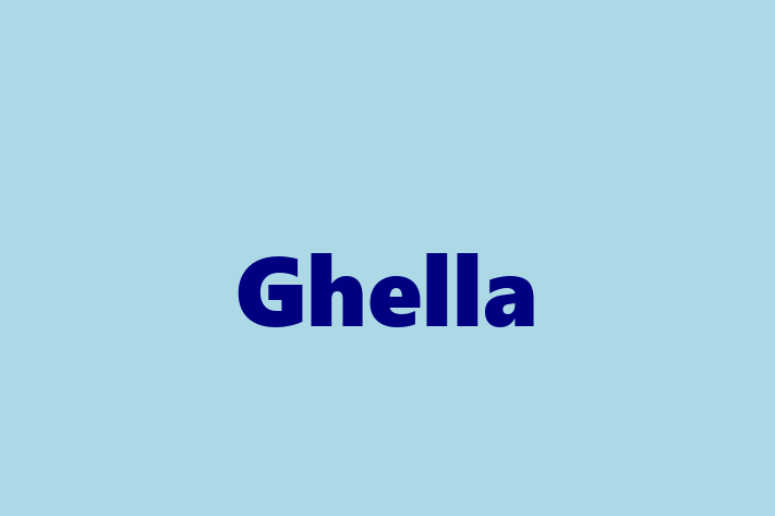 Employee Resource Management Ghella