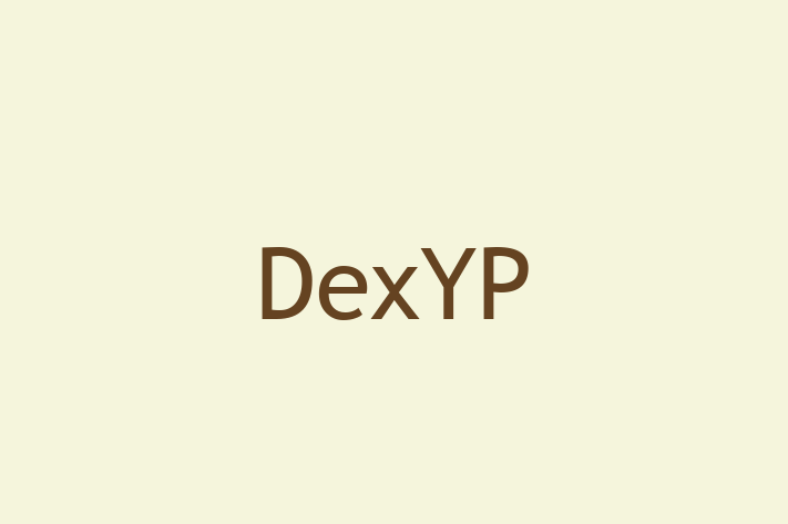 IT Company DexYP