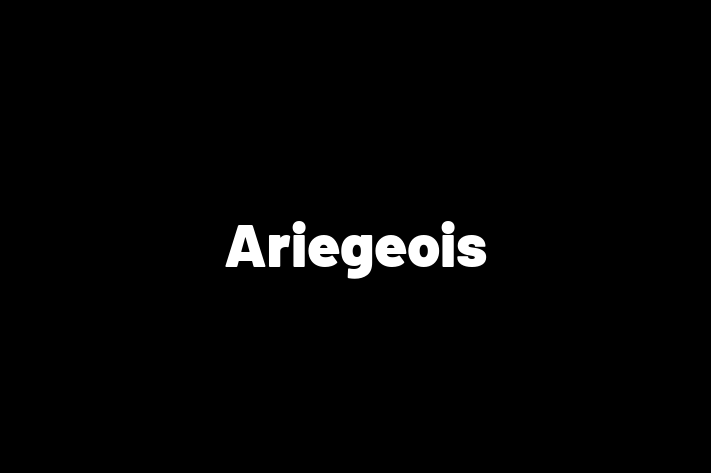 Ariegeois for Sale in Richmond