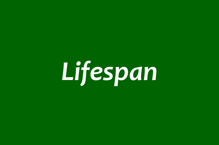 Personnel Management Lifespan