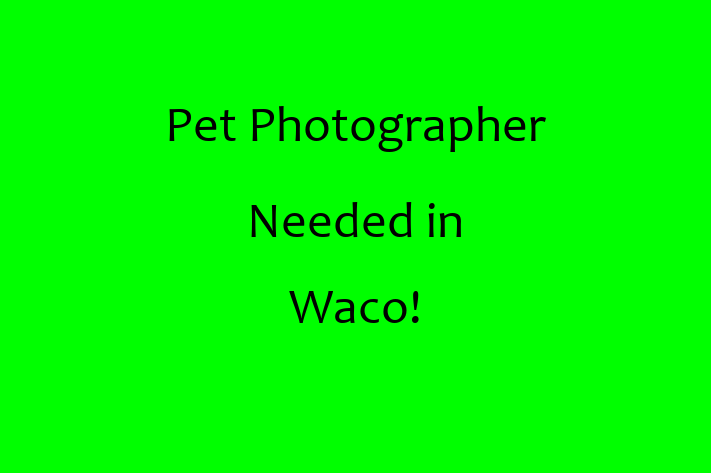 Pet Photographer Needed in Waco