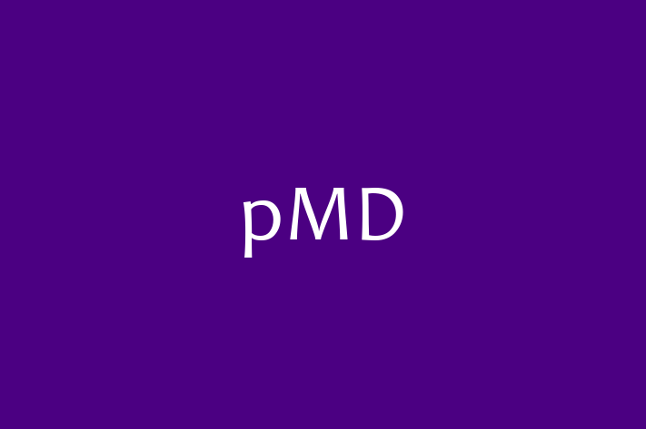 Tech Solutions Company pMD