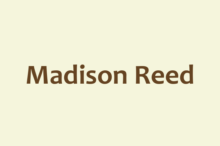 People Management Madison Reed