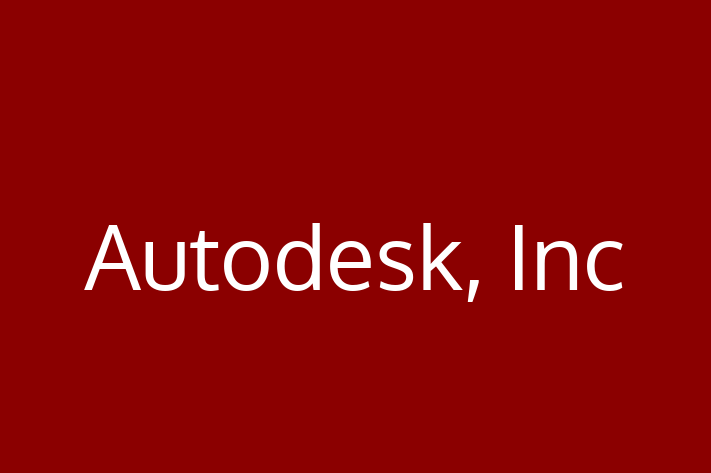 Software Consultancy Autodesk Inc