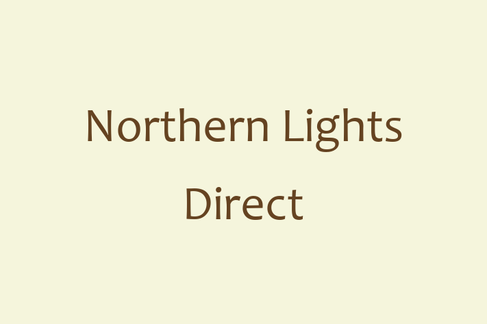 IT Company Northern Lights Direct