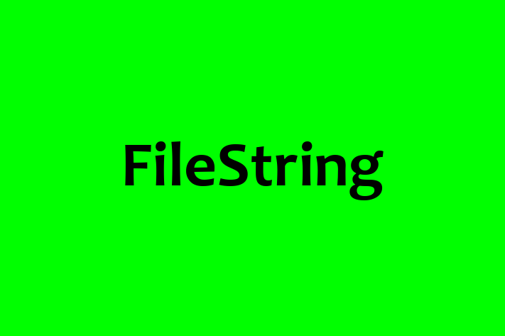 Software Solutions Provider FileString