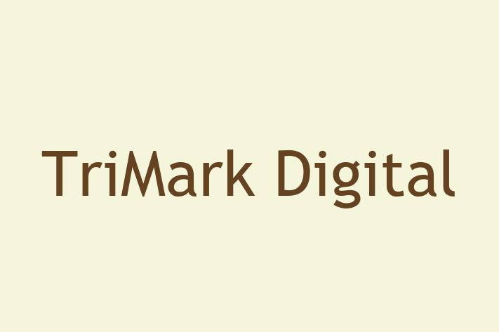 Tech Solutions Company TriMark Digital