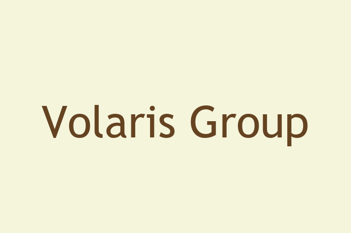 Software Development Company Volaris Group