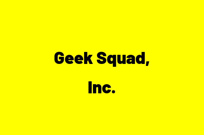 Technology Company Geek Squad Inc.