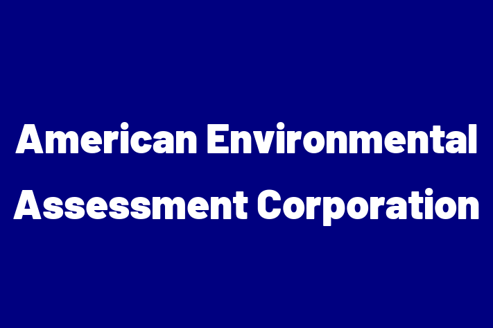 Software Solutions Provider American Environmental Assessment Corporation