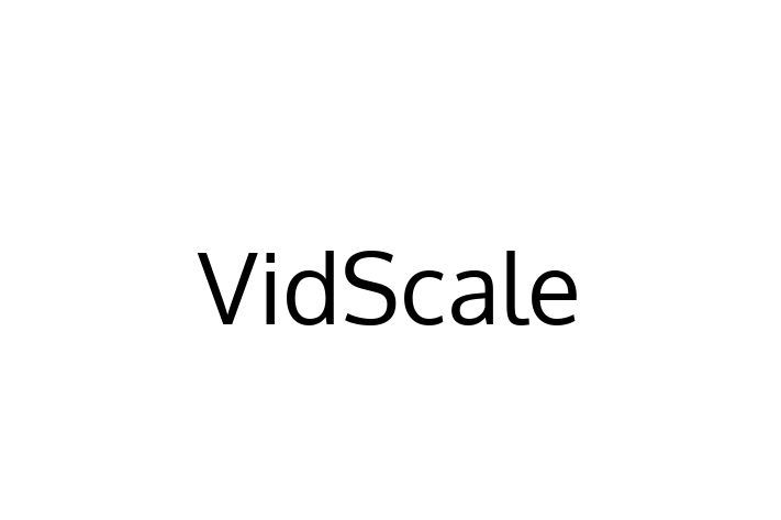 Technology Solutions Firm VidScale