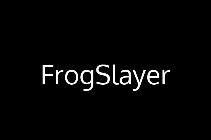 Technology Solutions Firm FrogSlayer