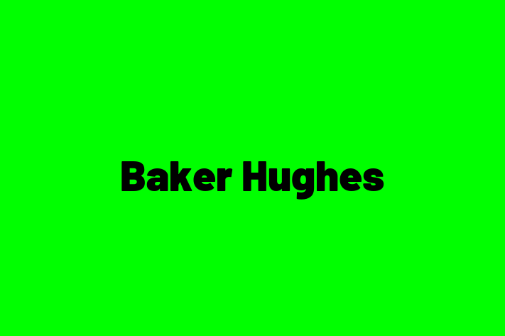 Human Capital Management Baker Hughes