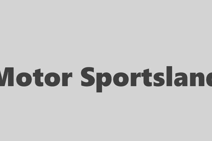 Software Consultancy Motor Sportsland