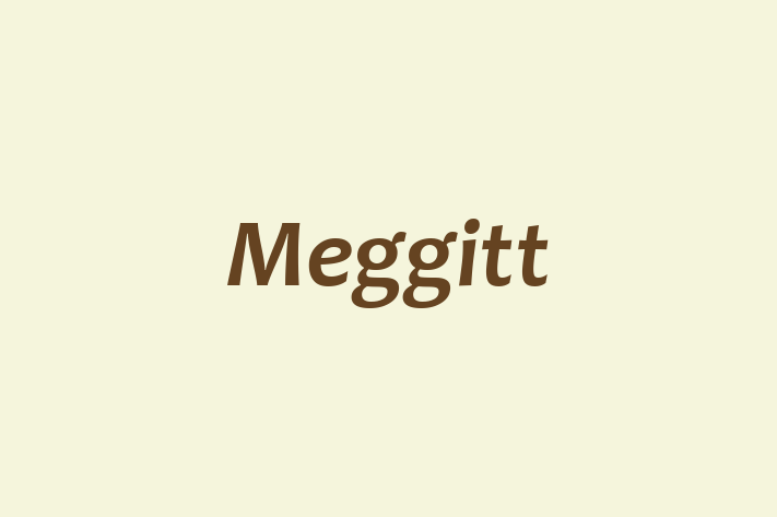 Employee Relations Meggitt