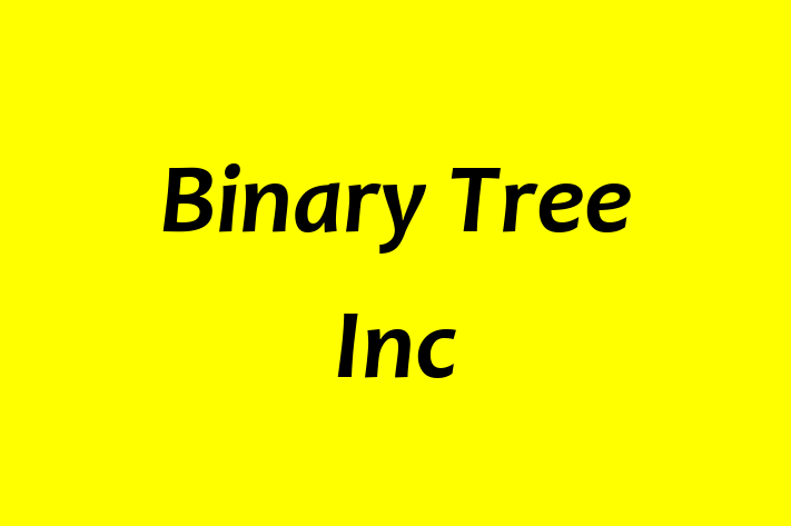 Software Development Company Binary Tree Inc