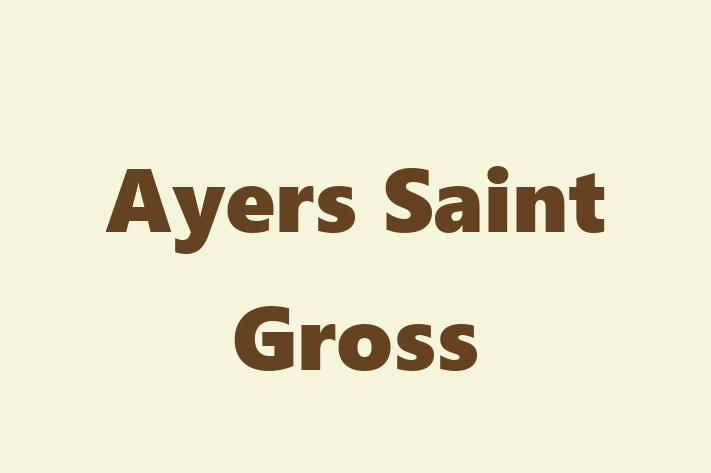 Staff Management Ayers Saint Gross