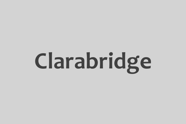 Tech Solutions Company Clarabridge