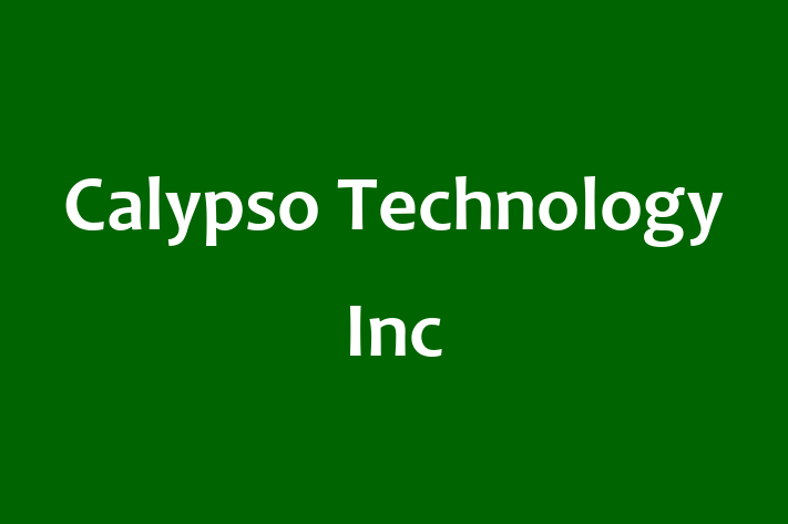 IT Company Calypso Technology Inc