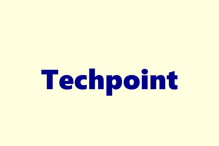 Software Services Company Techpoint