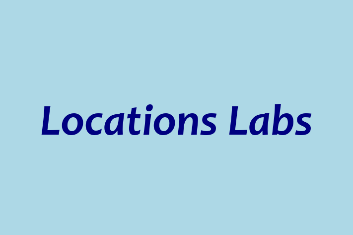 Application Development Company Locations Labs