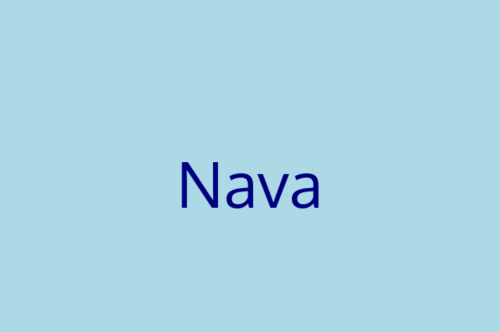 Software Firm Nava