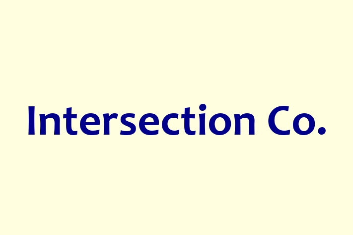 IT Company Intersection Co.