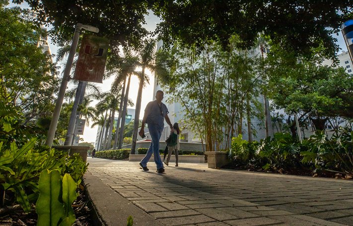 Staff Management University of Miami Miller School of Medicine