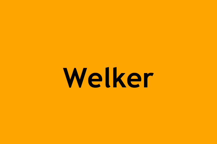 People Management Welker