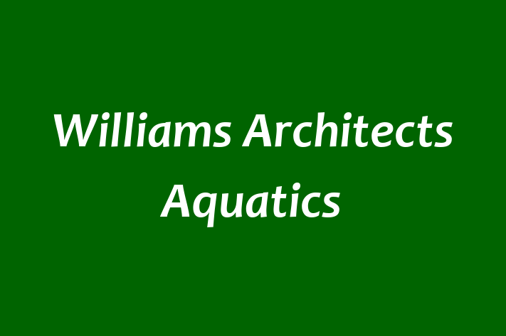 People Management Williams Architects  Aquatics