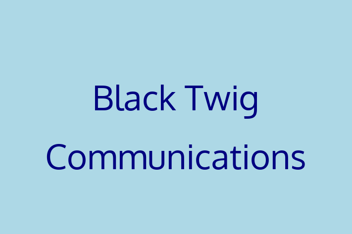 Software Firm Black Twig Communications