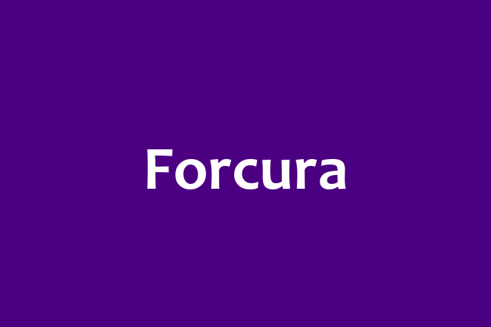 Digital Solutions Provider Forcura