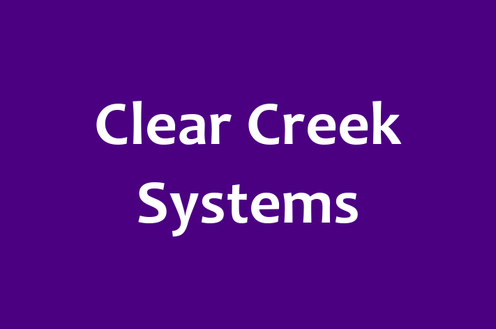 Technology Solutions Firm Clear Creek Systems