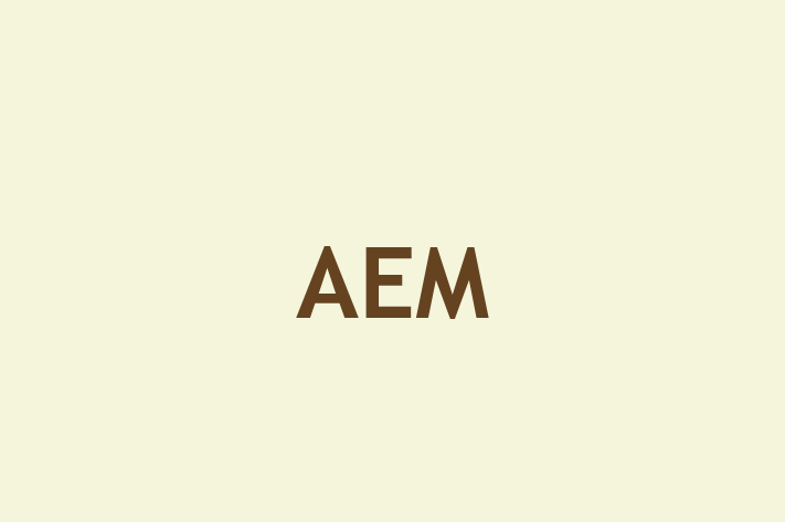 Software Services Company AEM