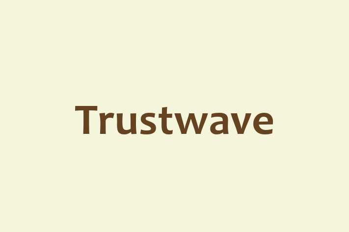 Technology Solutions Firm Trustwave