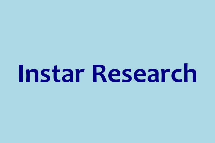 Tech Solutions Company Instar Research