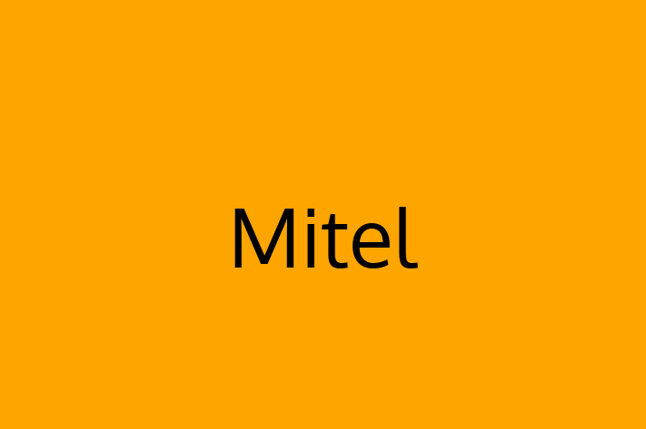 Software Consultancy Mitel