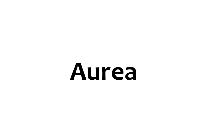 Software Services Company Aurea