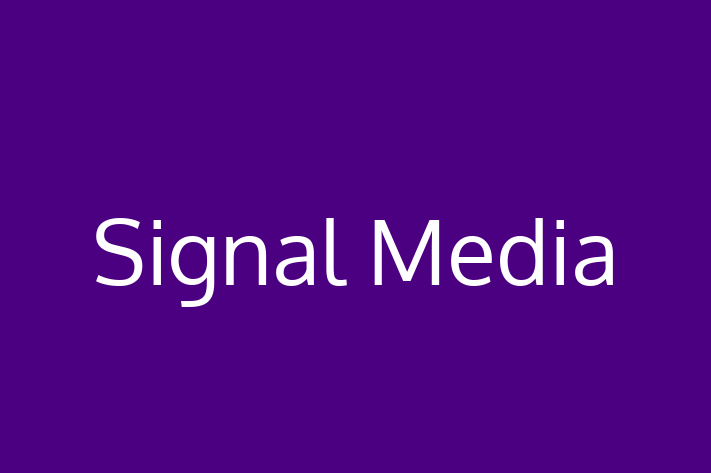 Application Development Company Signal Media