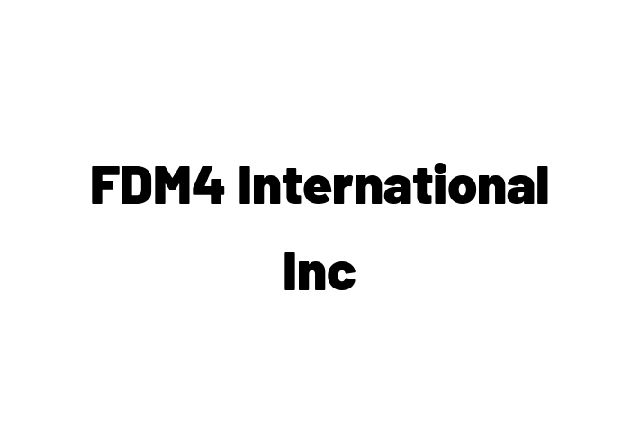 Technology Solutions Firm FDM4 International Inc